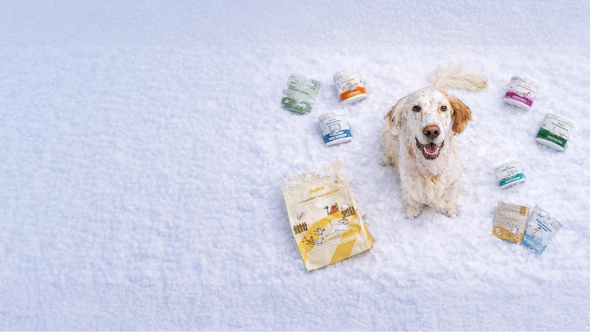 Winter campaign hero